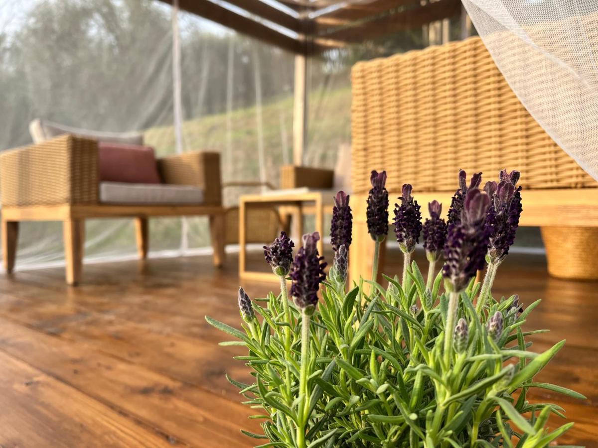 Casa Del Pino Bed & Breakfast บอร์โก อา บุจจาโน ภายนอก รูปภาพ