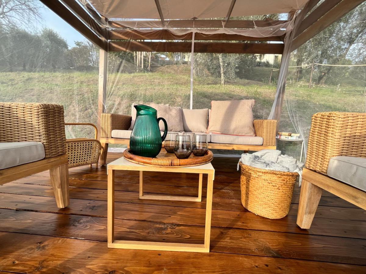 Casa Del Pino Bed & Breakfast บอร์โก อา บุจจาโน ภายนอก รูปภาพ